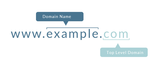 The Anatomy of a Good Domain Name
